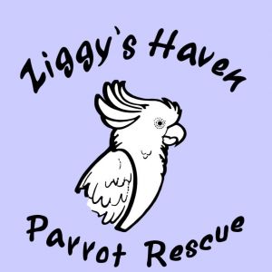 Ziggys Haven Bird Sanctuary Parrot Summer Camp