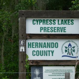 Cypress Lake Preserve