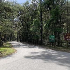 Buttgenbach Campground at Croom Motorcycle Area