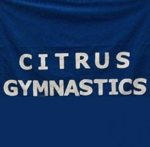 Citrus Gymnastics Summer Camp