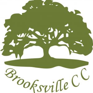 Golf Lessons at Brooksville Country Club