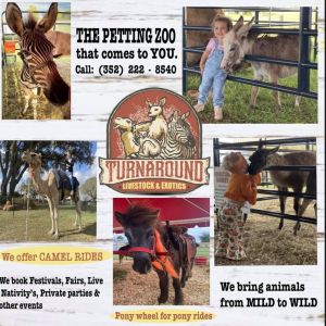 TurnAround Livestock and Exotics Petting Zoo