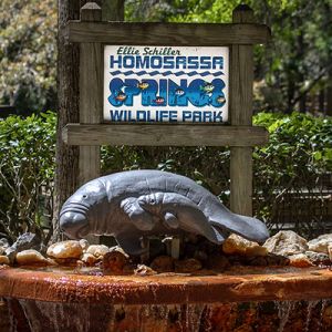 Ellie Schiller Homosassa Springs Wildlife State Park Programs