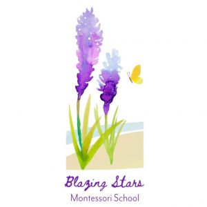 Blazing Stars Montessori School