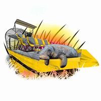 Weeki Wachee Airboat Ride's