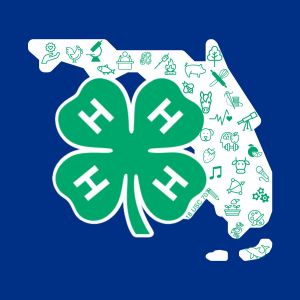 Florida 4-H Scholarships