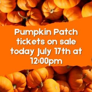 Florida Railroad Museum Pumpkin Patch Express