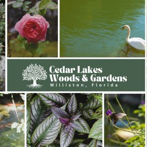 12/07, 12/14, 12/15, 12/19, 12/21, 12/22, 12/23 Cedar Lakes Woods and Gardens Christmas In The Quarry