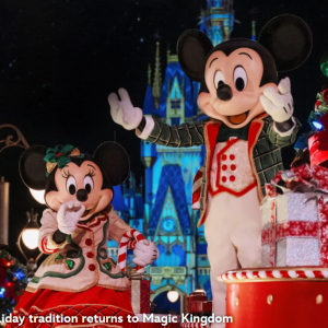11/08 - 12/22 Magic Kingdom Mickeys Very Merry Christmas Party