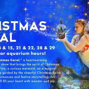 12/14, 12/15, 12/21, 12/22, 12/28, 12/29  Mertailors Mermaid Aquarium Encounter Christmas Coral