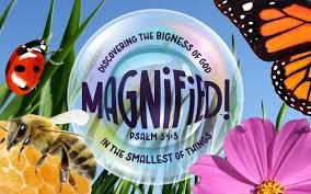 Faith Church VBS