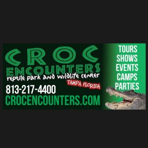 Tampa - Croc Encounters Reptile Park and Wildlife Center