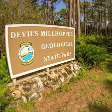 Gainesville - Devils Millhopper Geological State Park