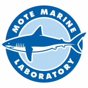 Sarasota - Mote Marine Laboratory and Aquarium