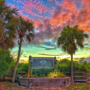 Dunedin - Honeymoon Island State Park