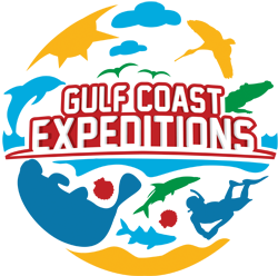 Gulf Coast Expeditions