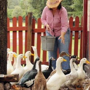 Noahs Ark on Wheels and Noahs Ark Farm Parties