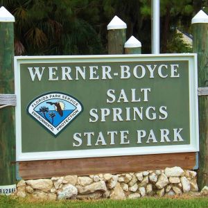Werner-Boyce Salt Springs State Park