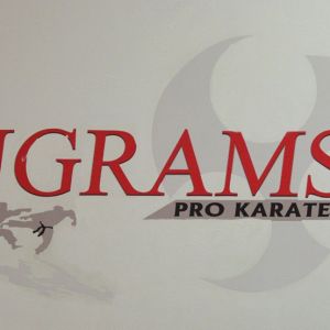 Ingram's Karate Center