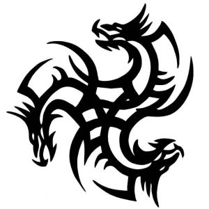 Iron Dragon MMA