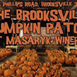 10/03 - 11/02 Masaryk Winery Brooksville Pumpkin Patch