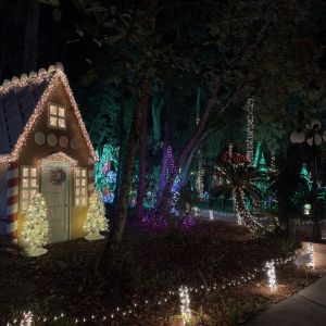 12/19 - 12/23 and 12/26 - 12/27 Homosassa Springs Wildlife State Park Celebration of Lights