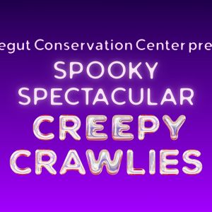 10/18 Chinsegut Conservation Center Spooky Spectacular Fall Festival