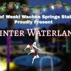 12/12, 12/13, 12/19, 12/20 Weeki Wachee Springs State Park Winter Waterland