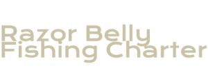 Razor Belly Fishing Charter Manatee Tours