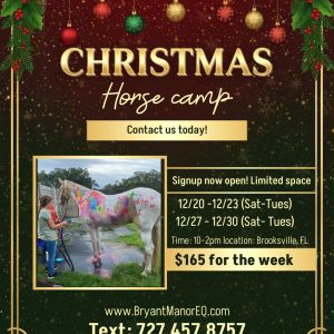 12/20 - 12/23 and 12/27 - 12/30 Bryant Manor Equestrian Center Christma Horse Camp