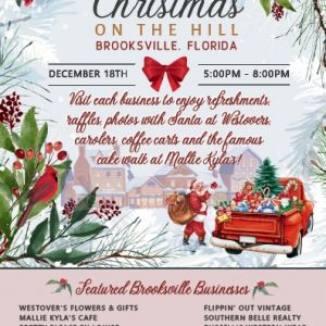 12/18 Brooksvilles Christmas on the Hill
