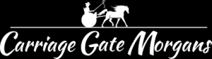 Carriage Gate Morgans Riding and Driving Lessons