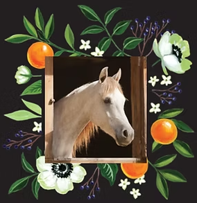 Orange Blossom Ranch Horseback Riding Lessons