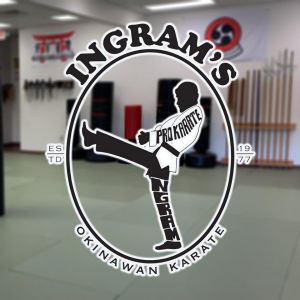 Ingrams Okinawan Karate Kids Classes