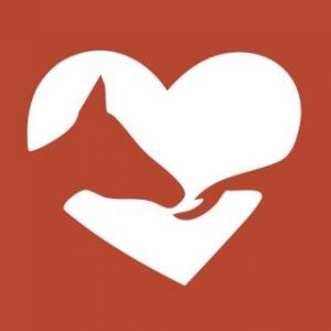 Kiddy Up Ranch Summer Camp