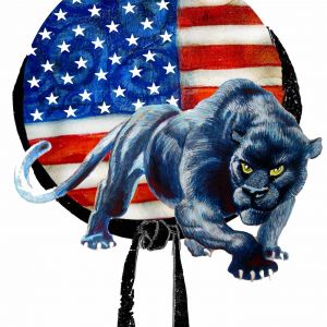 Antonelli Martial Arts and Fitness Blackbelt Summer Camp