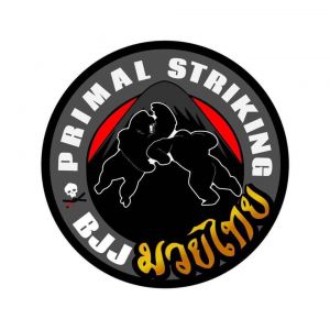 Primal Striking and BJJ Kids Summer Camp