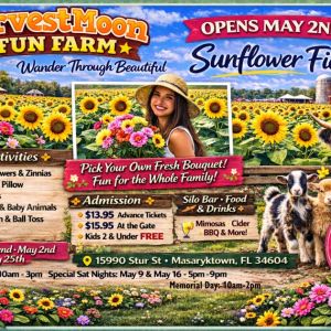 05/03 - 05/25 HarvestMoon Fun Farm Sunflower Festival