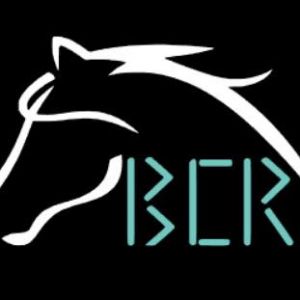 Barefoot Children Ranch Summer Farm Camp