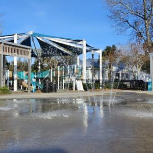 Sims Park