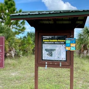 Aripeka Sandhills Preserve