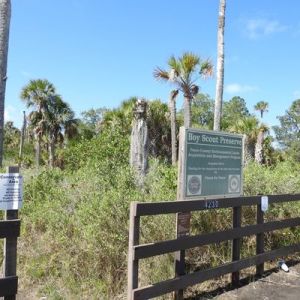 Boy Scout Preserve