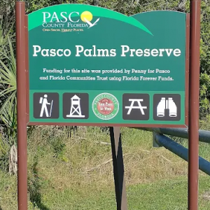 Pasco Palms Preserve