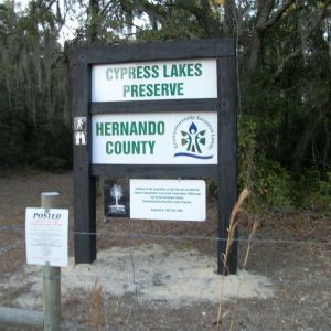 Cypress Lake Preserve
