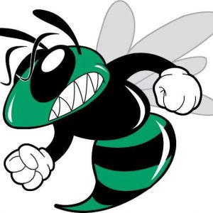 West Hernando Middle School Indoor Volleyball Camp