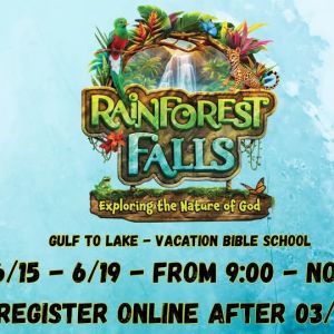 Gulf to Lake Church VBS